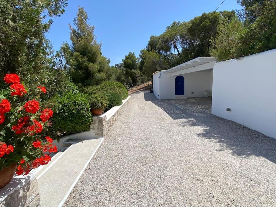 Vila Retreat By The Sea With Pool In Porto Cheli